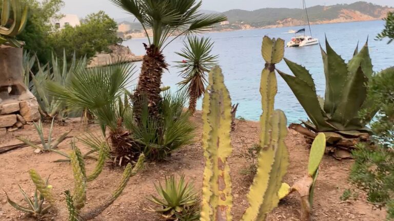 Descubre el encanto de Es Caló des Monjo: Un paraíso escondido en Mallorca